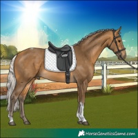 Horse Color:Silver Buckskin Tobiano 