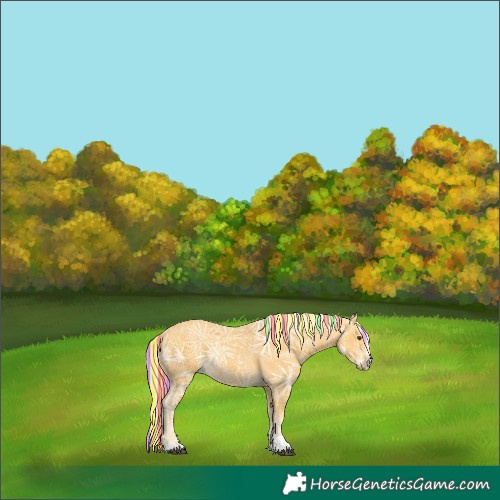 Horse Color:Painted Palomino Ice Rabicano