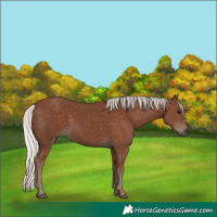 Horse Color:Silver Black