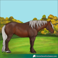 Horse Color:Silver Brown 
