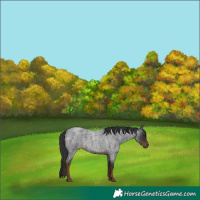 Horse Color:Liver Red Roan 