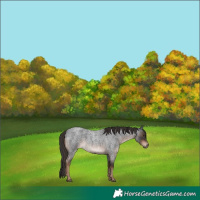 Horse Color:Liver Red Roan 