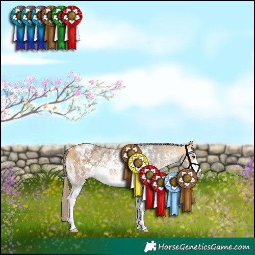 Horse Color:Buckskin Sabino Blanket