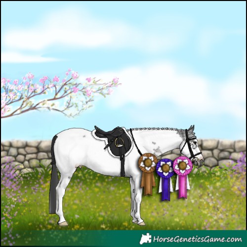 Horse Color:Black Sabino Tobiano Frame Rabicano 