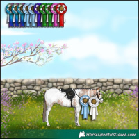 Horse Color:Bay Sabino Snowcap 