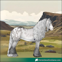 Horse Color:Platinum Silver Buckskin Dun Appaloosa 