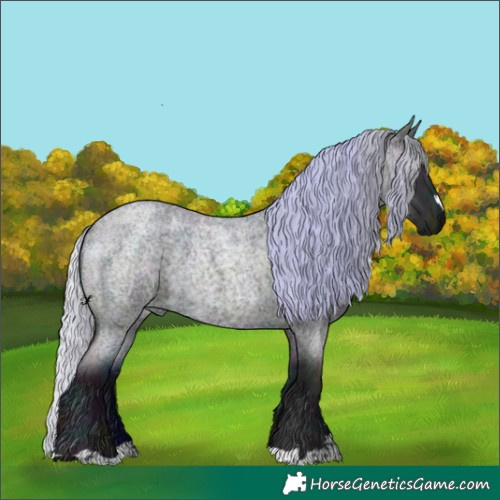 Horse Color:Midnight Silver Grullo Chinchilla Roan 
