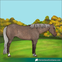 Horse Color:Silver Brown Dun Mushroom 