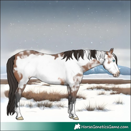 Horse Color:Bay Ice Frame 