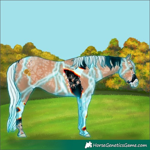 Horse Color:Thunderstruck Silver Sable Champagne Ice Splash Tobiano 