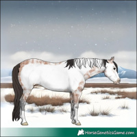 Horse Color:Bay Ice Frame