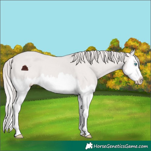 Horse Color:Platinum Chocolate Smoky Creme Splash 