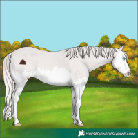 Horse Color:Platinum Chocolate Smoky Creme Splash 