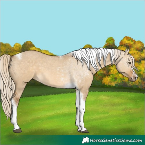 Horse Color:Chocolate Palomino Dun Tobiano 