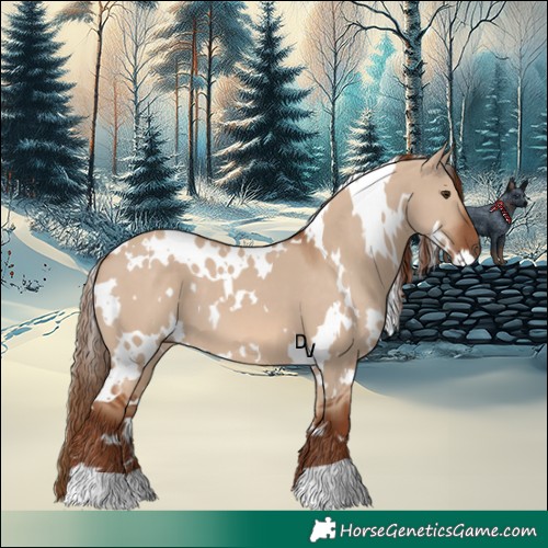Horse Color:White Spotted Red Dun 
