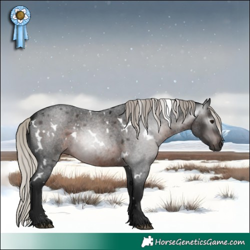 Horse Color:Gray White Spotted Silver Brown Roan 