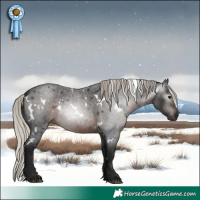 Horse Color:Gray White Spotted Silver Brown Roan 