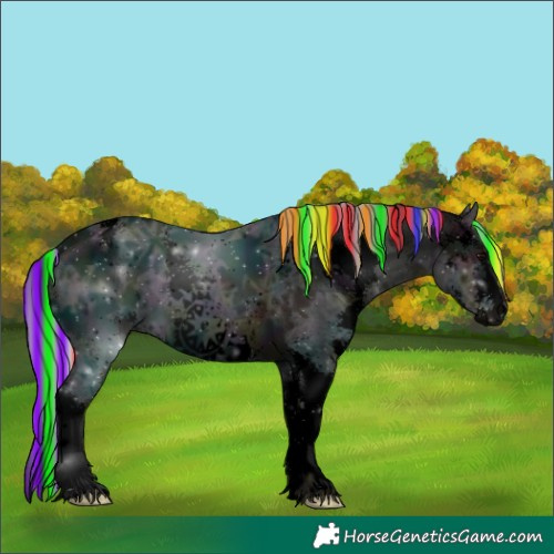 Horse Color:Void Painted Midnight Silver Black Ice Sabino 