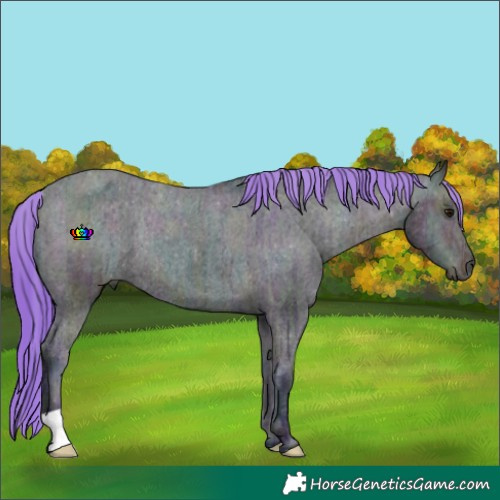 Horse Color:Watercolor Midnight Buckskin Ice Appaloosa Rabicano 