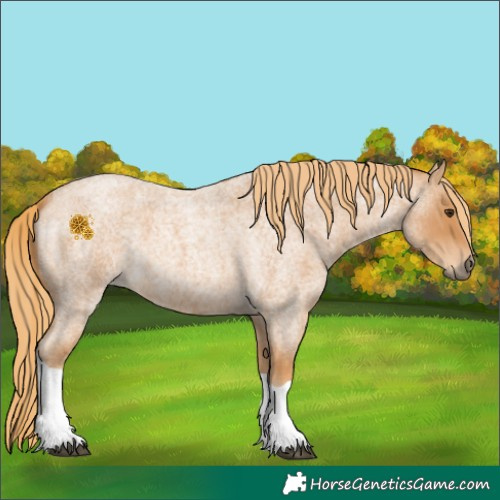 Horse Color:Red Roan Tobiano 