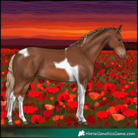 Horse Color:Chestnut Tobiano 