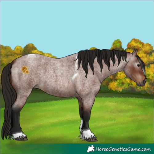 Horse Color:Gray Bay Roan Tobiano 