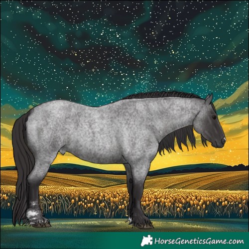 Horse Color:Smoky Blue Roan 