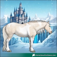 Horse Color:Silver Smoky Grullo Ice Pearl Tobiano Rabicano
