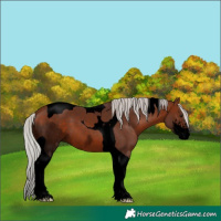 Horse Color:Void Silver Brown Sabino Tobiano 