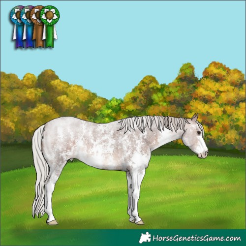 Horse Color:Silver Brown Roan Sabino 