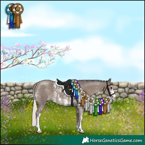 Horse Color:Silver Black Sabino 