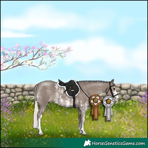 Horse Color:Silver Black Sabino 