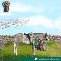 Horse Color:Silver Black Sabino