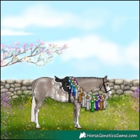 Horse Color:Silver Black Sabino
