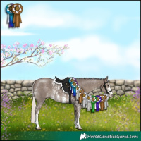 Horse Color:Silver Black Sabino 