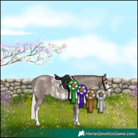 Horse Color:Silver Black Sabino