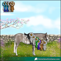 Horse Color:Silver Black Sabino 