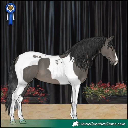 Horse Color:Grullo Tobiano 