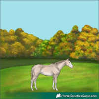 Horse Color:Smoky Creme 