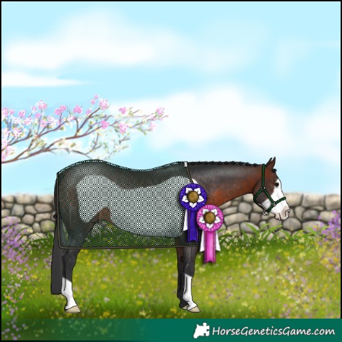 Horse Color:Brown Frame Rabicano 