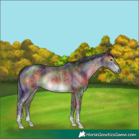 Horse Color:Nacre Brown Dun Sabino Tobiano Rabicano Brindle