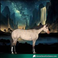 Horse Color:Bay Dun  and Bay Dun Rabicano 