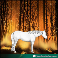 Horse Color:Gray Black Sabino Frame Varnish 