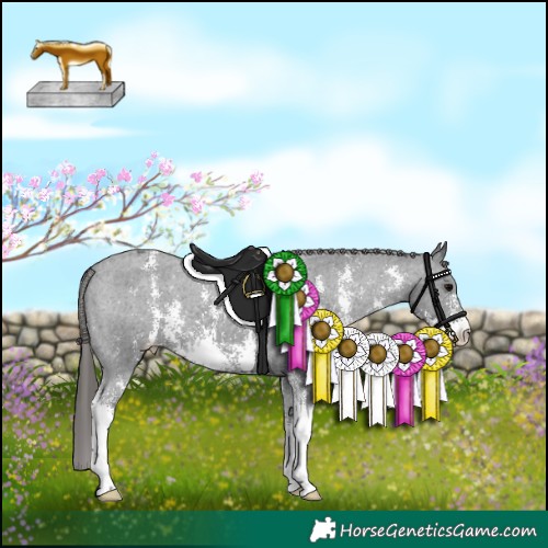 Horse Color:Black Sabino Appaloosa 