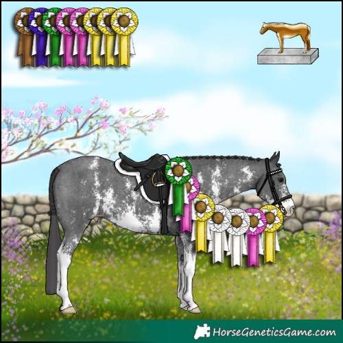Horse Color:Black Sabino Varnish