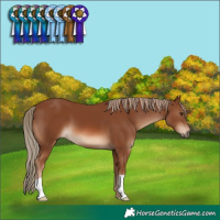 Horse Color:Chestnut 