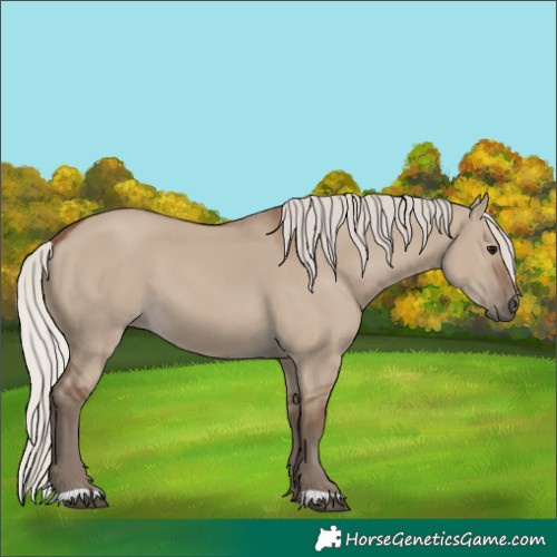 Horse Color:Silver Grullo 