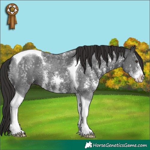 Horse Color:Liver Chestnut Sabino Tobiano 