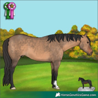 Horse Color:Brown Dun