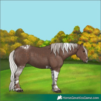 Horse Color:Silver Black Tobiano 